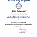 Bild vergrößern: certificate 7