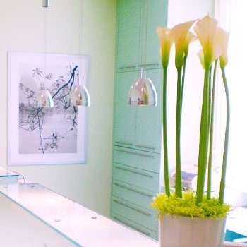 Dr. Dannert & Kollegen    -2