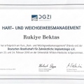 Bild vergrößern: certificate 2