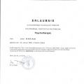 Bild vergrößern: certificate 12