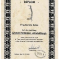 Bild vergrößern: certificate 46