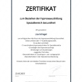 Bild vergrößern: certificate 10