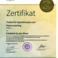 Bild vergrößern: certificate 1