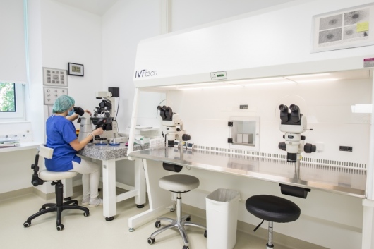 Kinderwunschzentrum - Ludwigshafen Dr.Tobias Schmidt Dr.Claudia Schmidt und Kolleginnen-2