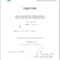 Bild vergrößern: certificate 7