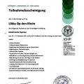 Bild vergrößern: certificate 3