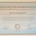 Bild vergrößern: certificate 1