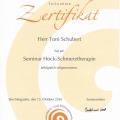 Bild vergrößern: certificate 5