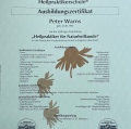 Bild vergrößern: certificate 2