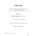 Bild vergrößern: certificate 2