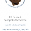 Bild vergrößern: certificate 13