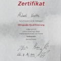 Bild vergrößern: certificate 1