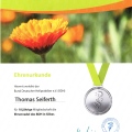 Bild vergrößern: certificate 1