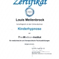 Bild vergrößern: certificate 2