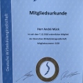 Bild vergrößern: certificate 2