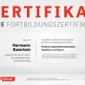 Bild vergrößern: certificate 13