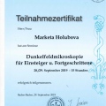 Bild vergrößern: certificate 14