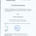 Bild vergrößern: certificate 3