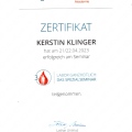 Bild vergrößern: certificate 7