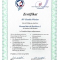 Bild vergrößern: certificate 1