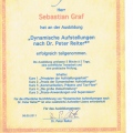 Bild vergrößern: certificate 9
