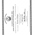 Bild vergrößern: certificate 2