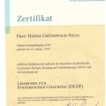 Bild vergrößern: certificate 4