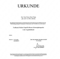 Bild vergrößern: certificate 1