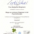 Bild vergrößern: certificate 3