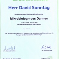 Bild vergrößern: certificate 5