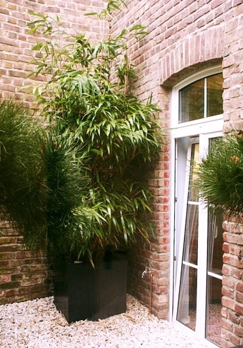 Dr. Dannert & Kollegen    -0