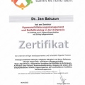 Bild vergrößern: certificate 4