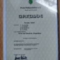 Bild vergrößern: certificate 7