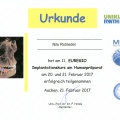 Bild vergrößern: certificate 12