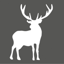 Zahnärzte am Königsforst Dr. Dirk Wasserfuhr und Christiane Wasserfuhr  