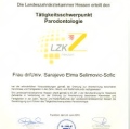 Bild vergrößern: certificate 4