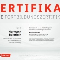Bild vergrößern: certificate 9