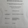 Bild vergrößern: certificate 6
