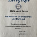 Bild vergrößern: certificate 3