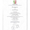 Bild vergrößern: certificate 9