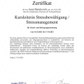 Bild vergrößern: certificate 5