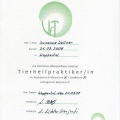 Bild vergrößern: certificate 6