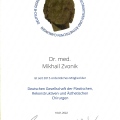 Bild vergrößern: certificate 2