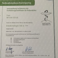 Bild vergrößern: certificate 13