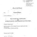 Bild vergrößern: certificate 3