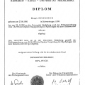 Bild vergrößern: certificate 3
