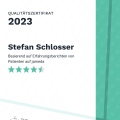 Bild vergrößern: certificate 9