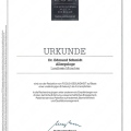 Bild vergrößern: certificate 1