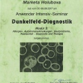 Bild vergrößern: certificate 48