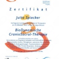 Bild vergrößern: certificate 2